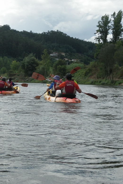 Coimbra: Kayak Descent on the Mondego River - Experience Highlights