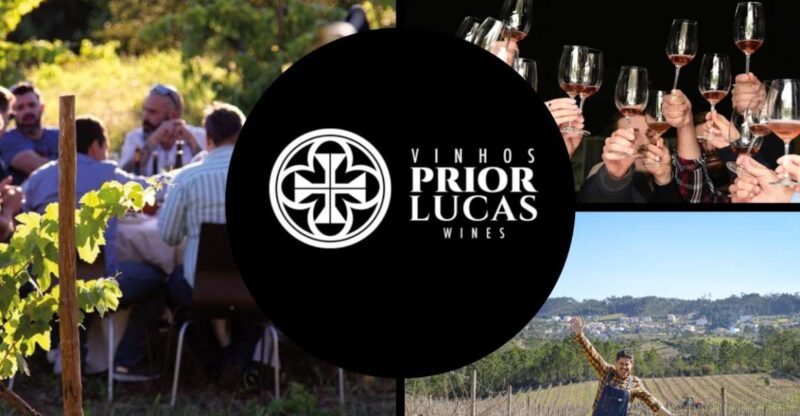 Coimbra: Prior Lucas Winery and Vineyard Visit With Tastings - Key Points