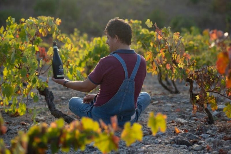 Coimbra: Prior Lucas Winery and Vineyard Visit With Tastings - Wine Tasting Experience