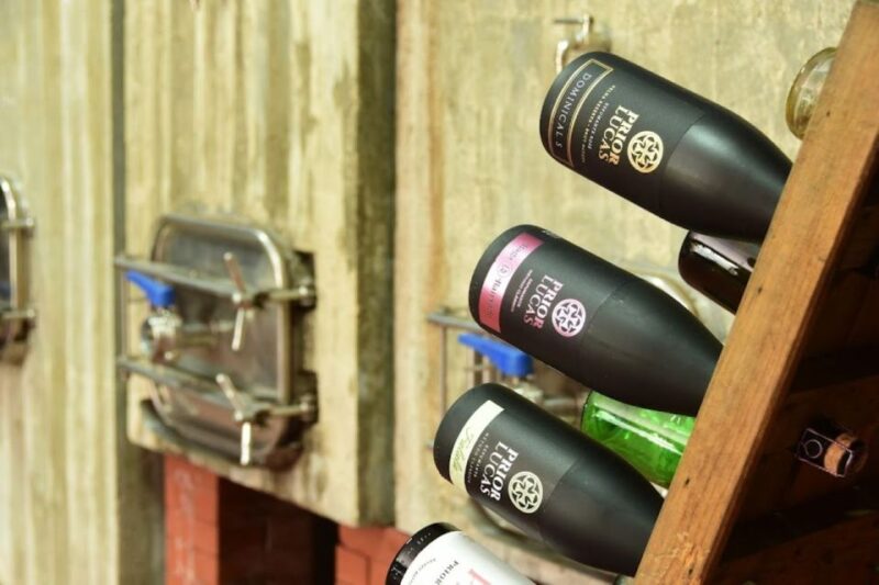 Coimbra: Prior Lucas Winery and Vineyard Visit With Tastings - Winery and Vineyard Tour