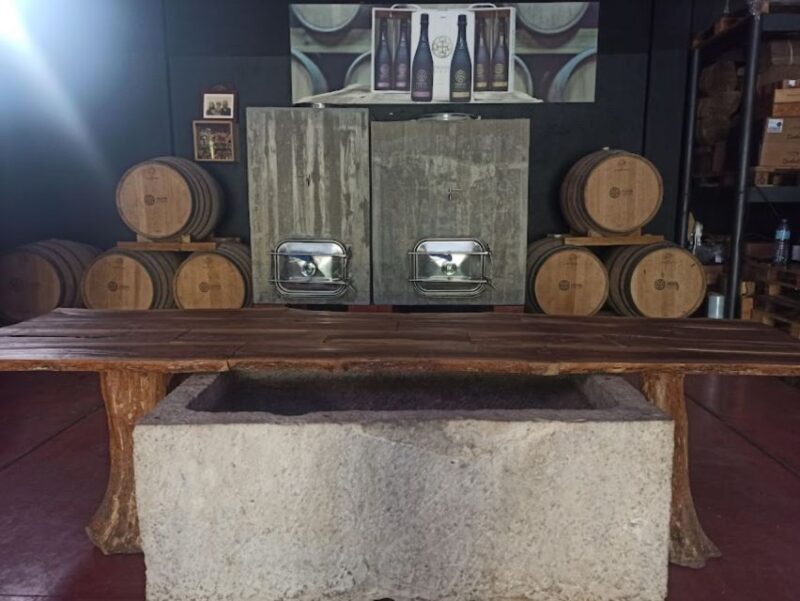 Coimbra: Prior Lucas Winery and Vineyard Visit With Tastings - Customer Reviews
