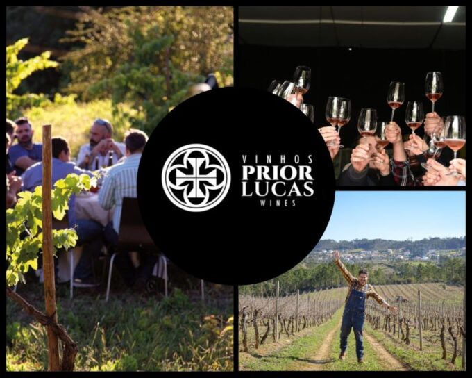 Coimbra: Prior Lucas Winery and Vineyard Visit With Tastings - Exceptional Guidance