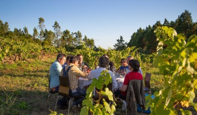 Coimbra: Prior Lucas Winery and Vineyard Visit With Tastings - Intimate Atmosphere
