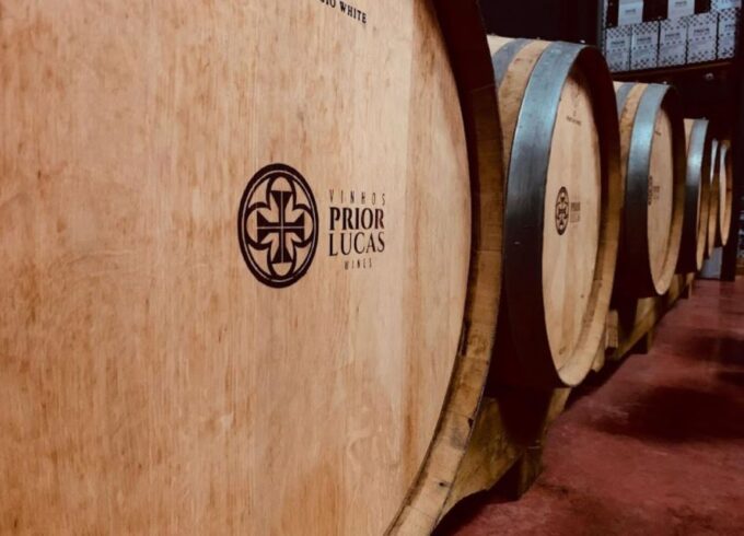 Coimbra: Prior Lucas Winery and Vineyard Visit With Tastings - Combination of Flavors