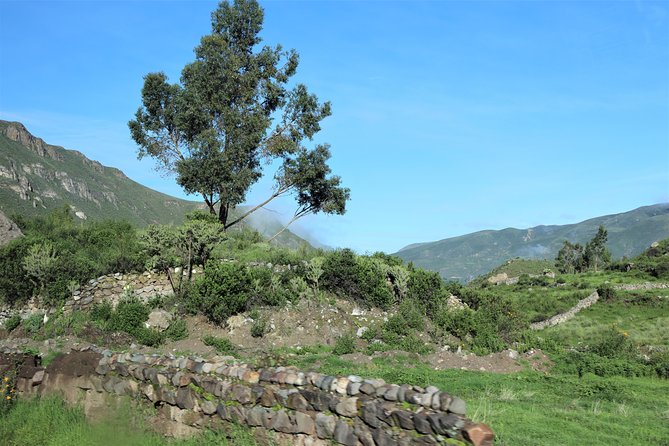 Colca Canyon / 2 Day 1 Night Trek - Admiring the Condor Crossing