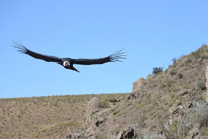 Colca Canyon: 2 Day Tour From Arequipa - Scenic Viewpoints and Attractions