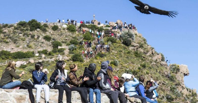 Colca Canyon: 2-Day Tour From Arequipa to Puno - Itinerary Details
