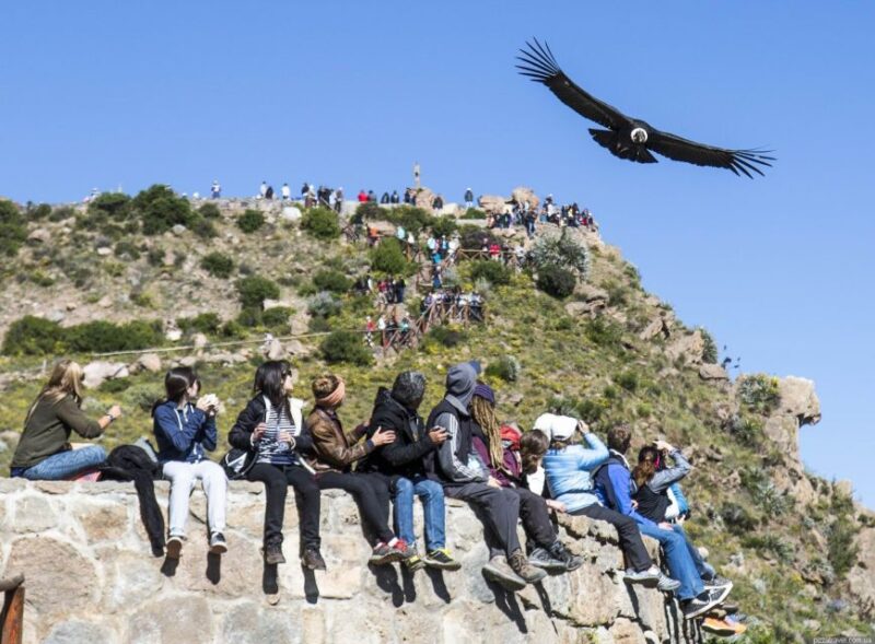 Colca Canyon: 2-Day Tour From Arequipa to Puno - Day 1 Highlights