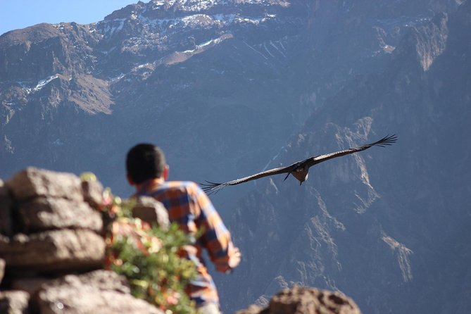Colca Canyon – 2 Days / 1 Night - Cancellation Policy