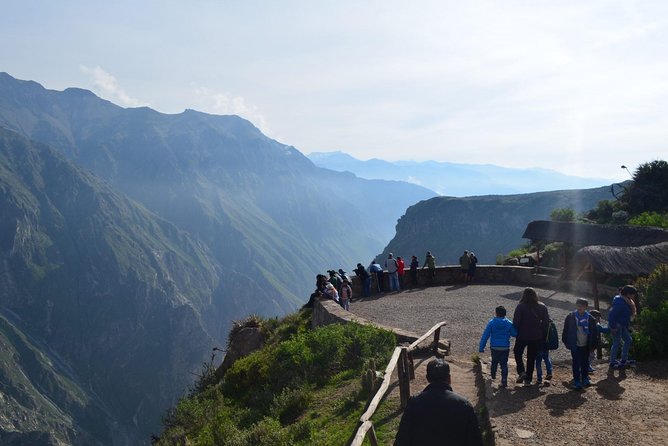Colca Canyon 2 Days / 1 Night and Disembark in Puno - Guest Reviews
