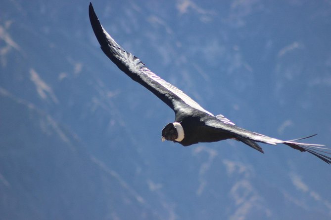 Colca Canyon – 2 Days / 1 Night - Key Points