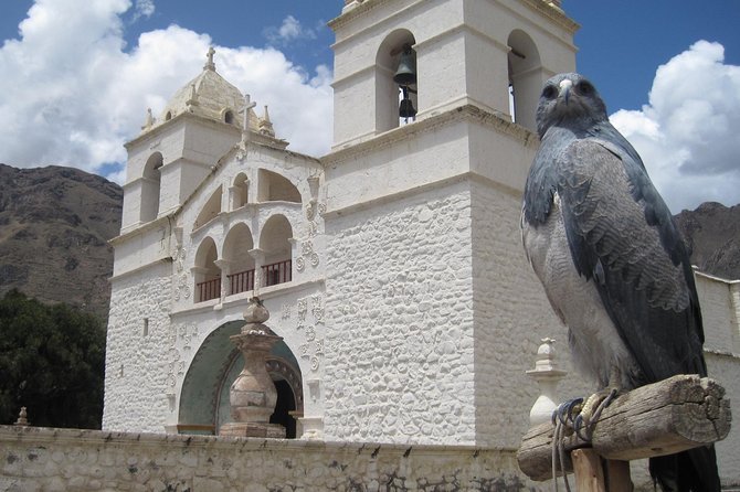 Colca Canyon – 2 Days / 1 Night - Meeting and Pickup