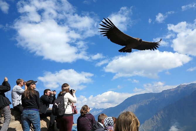 Colca Canyon 2 Days From Arequipa With Final Transfer to Puno - Key Points