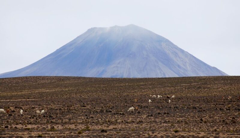 Colca Canyon and Puno: One-Way Bus Transport - Meeting Points and Schedule