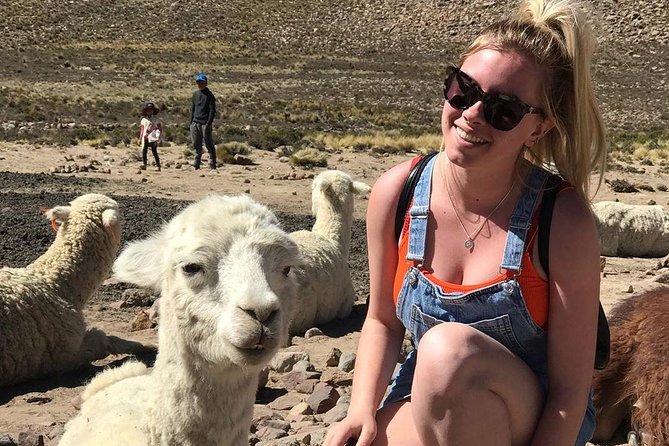 Colca Canyon Excursion One Day - Reviews and Feedback