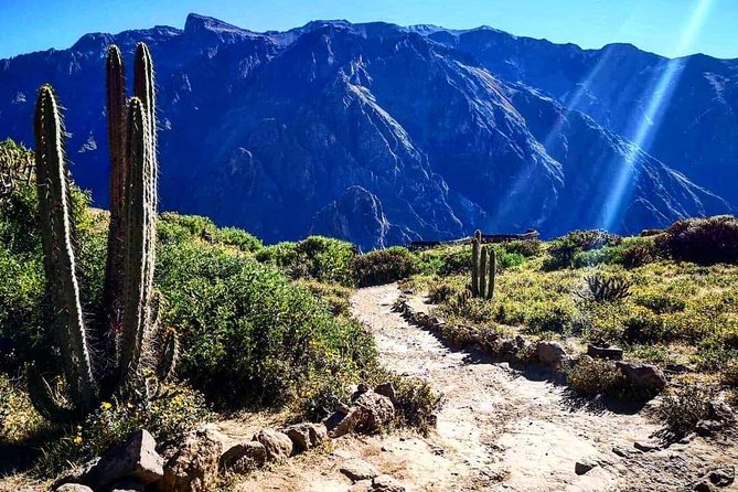 Colca Canyon Excursion One Day - Scenic Return Trip