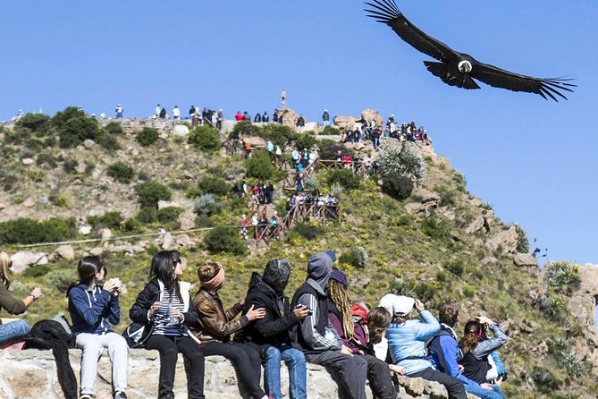 Colca Canyon Full Day + Buffet Lunch - Dining Experience