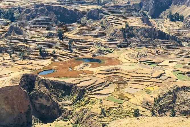 Colca Canyon Sightseeing Tour 2-Day 1-Night - Traveler Considerations
