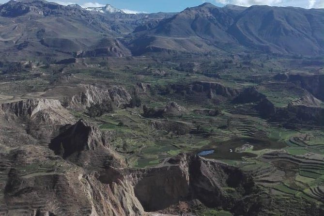 Colca Canyon Sightseeing Tour 2D1N and Transfer to Puno - Itinerary Details: Day 2
