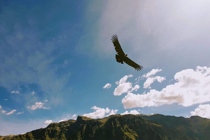 Colca Canyon Tour 2 Days - Itinerary Details: Day 1