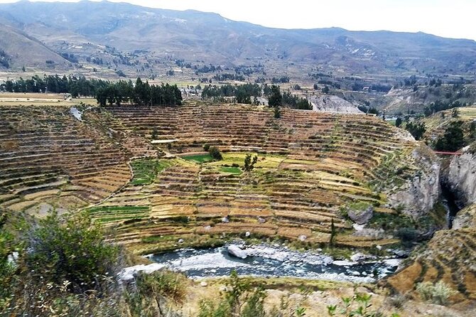 Colca Canyon Tour 2d Short Hiking +Overnight in Small Village Ending in Arequipa - Key Points