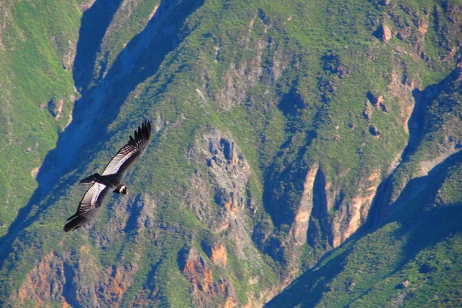 Colca Canyon Tour 2d Short Hiking +Overnight in Small Village Ending in Arequipa - Health and Accessibility