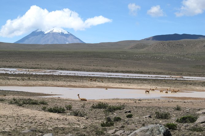 Colca Canyon Tour 2d Short Hiking + Overnight in Small Village Ending in Puno - Getting to Puno