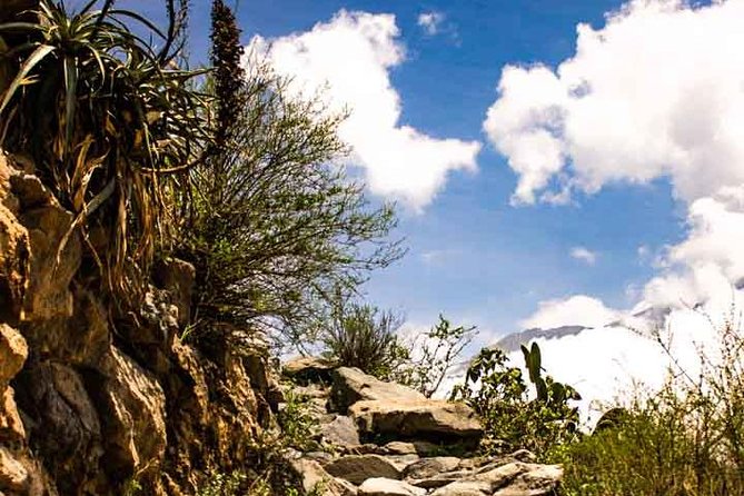 Colca Canyon Trek 3 Day 2 Night - Food and Accommodations