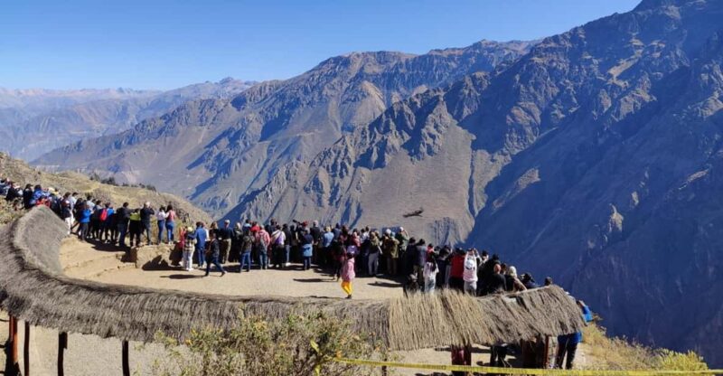 Colca Canyon Trip 2 Days + Transfer to Puno With Meals - Itinerary Highlights