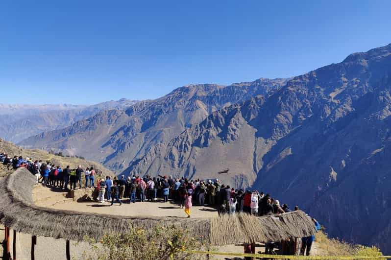 Colca Canyon Trip 2 Days + Transfer to Puno With Meals - Included Services