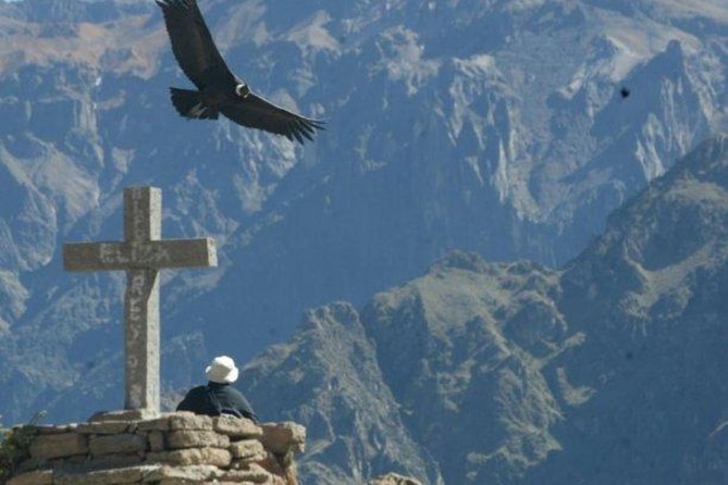 Colca Full Day - Reviews
