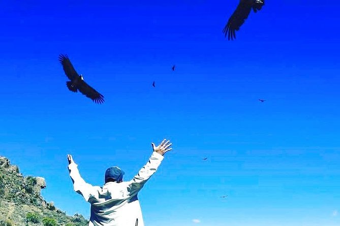Colca Full Day - Pickup Information