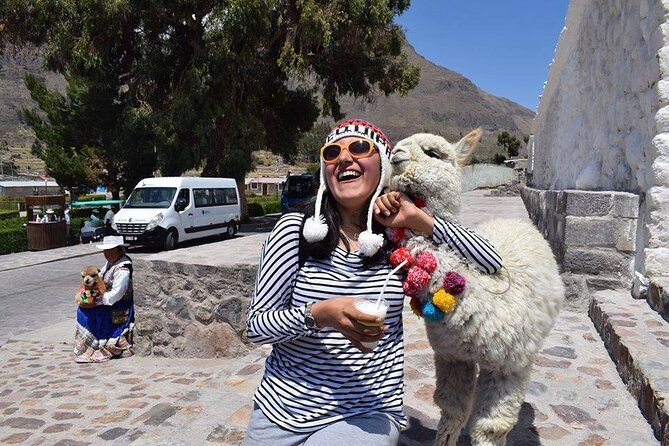 Colca Full Day - Pricing and Booking