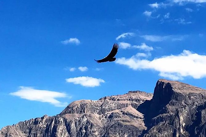 Colca Full Day Group Tour - Preparing for the Excursion