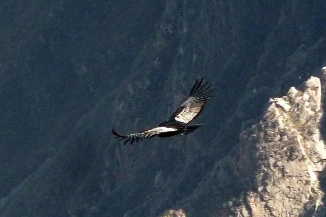 Colca Trek - 2 Days Tour - Inclusions and Exclusions