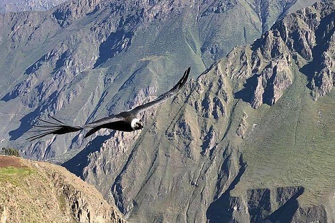 Colca Trek 3 Days - Overview of Colca Canyon