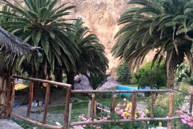 Colca Trek 3 Days - Historical Insights From the Guide