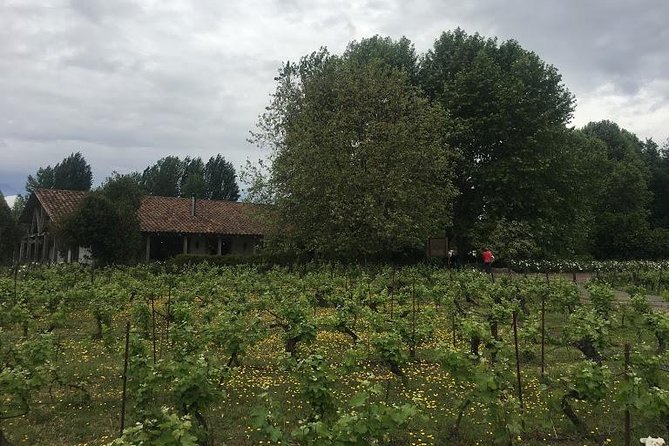Colchagua Valley - Wine Tasting Experiences