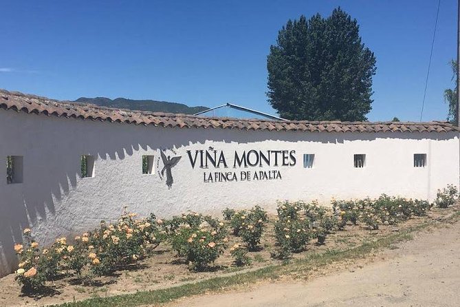 Colchagua Valley - Pickup and Start Times