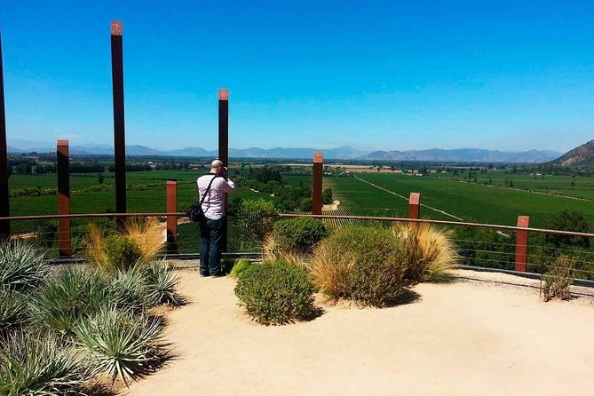 Colchagua Valley Experience - Culinary Delights at Fuegos De Apalta