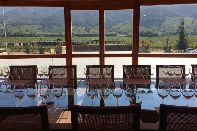 Colchagua Valley Experience - Knowledgeable and Friendly Guides