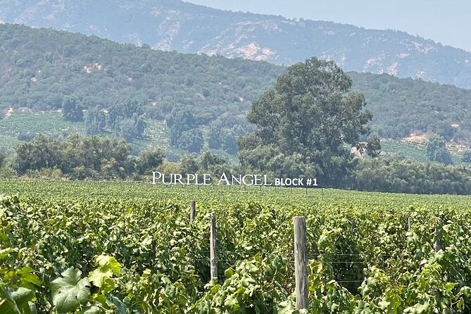 Colchagua Valley Tour & Tasting - Key Points