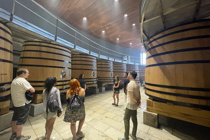 Colchagua Valley Tour & Tasting - Customer Reviews and Ratings