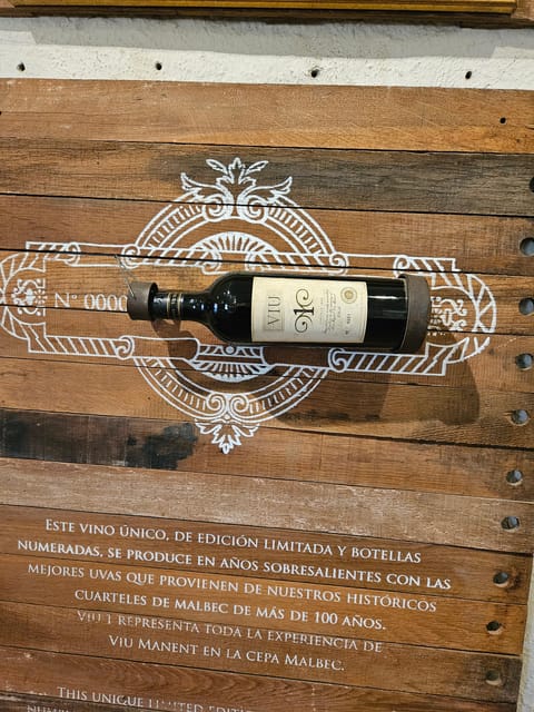 Colchagua Valley Wine Tour - Maquis Vineyards