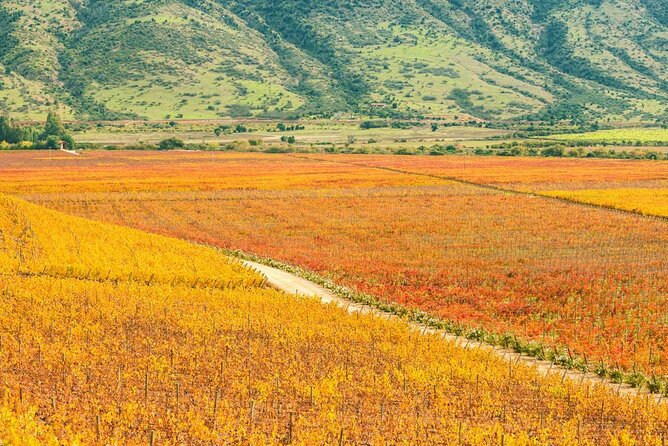 Colchagua Valley Winery Day Trip From Santiago - Key Points
