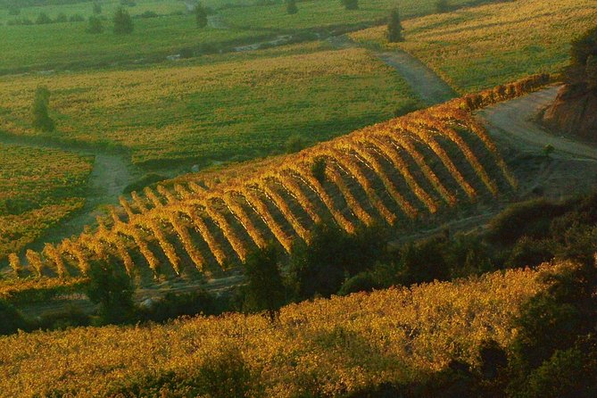 Colchagua Valley Winery Day Trip From Santiago - Logistics and Information