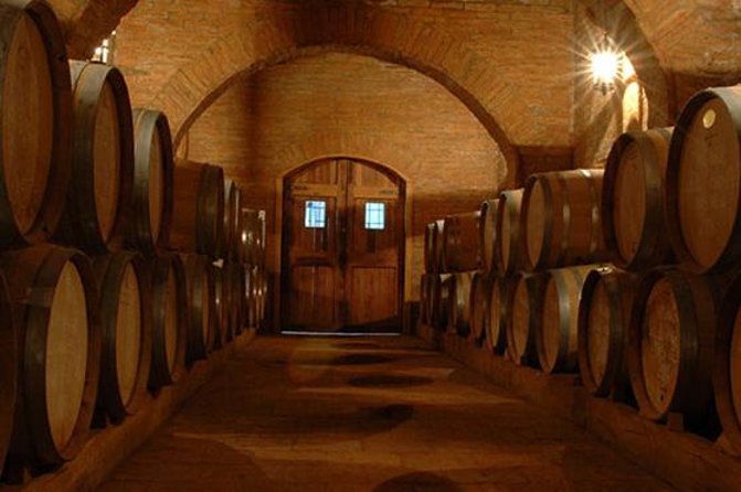 Colchagua Valley Winery Day Trip From Santiago - Winery Tastings
