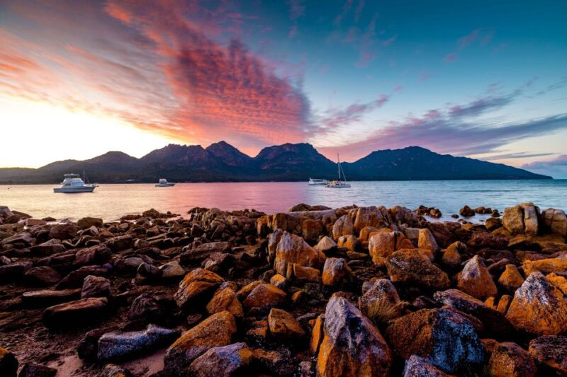 Coles Bay: Wineglass Bay Adults-Only Cruise With Lunch - Indulging in Morning Tea and Lunch