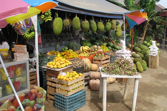 Colima Cultural and Volcano - Visiting Colimas Landmarks