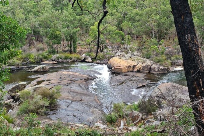 Collie Hike, Wine & Dine Experience - Inclusions